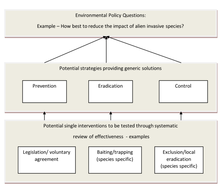 2. Need for Evidence, Synthesis Type and Review Team – Environmental ...